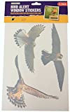 Gardman Stickers pour fenêtre Motif mangeoire d'oiseaux Naturel