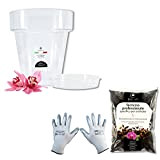 GebEarth - Kit de rempotage pour orchidées : Pot Transparent pour orchidées, 4 Trous de Drainage et Soucoupe + terreau ...