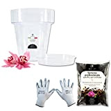 GebEarth - Kit de rempotage pour orchidées : Pot Transparent pour orchidées, 4 Trous de Drainage et Soucoupe + terreau ...