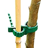 Générique Support d'attaches d'arbre | Support de Piquet d'arbre,10 pièces Plantes de Jardin Attaches Sangles pour Support d'arbre de Plante ...