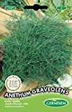 Germisem Anethum Graveolens Graines de Aneth 4 g EC1107 Multicolore
