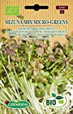 Germisem Bio Graines Chou salade japonaise micro-pousse Mizuna Mix