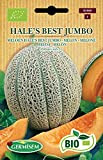 Germisem Bio Graines Melon HALE'S BEST JUMBO