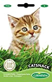Germisem Catsnack Graines de Herbe pour de Chats 10 g