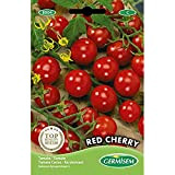 Germisem graines Tomate cerise RED CHERRY