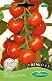 Germisem graines Tomate grappes PREMIO F1