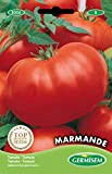 Germisem graines Tomate MARMANDE