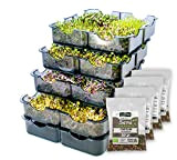 GermoglioSì Germoir Manuel Multifonction + 4 Packs de semences Mixtes, 4 Plateaux en Plastique breveté