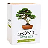 Gift Republic Grow it kit à Offrir avec bonsaï à Faire Pousser