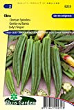 Gombo / Bamia, Okra Clemson Spineless - Légumes orientaux