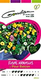 Gondian 165070 CP 2 Semences Fleurs Annuelles pour Balcon Multicolore 1 x 8,1 x 16 cm