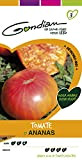 Gondian 514617 Semences-Tomate Ananas-CP 3, Rouge, 1x8.1x16 cm