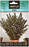 Graines aromatiques de Batlle - Hysope (Seeds - 50cm)