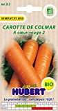Graines BIO de Carotte de Colmar - 4 grammes