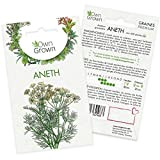 Graines d’aneth (Anethum graveolens), semences d’aneth cultivée OwnGrown, Semis pour environ 500 plantes