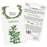 Graines d’origan (Origanum vulgare), semences d’origan cultivé OwnGrown, Semis pour environ 200 plantes