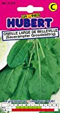 Graines d'Oseille Large de Belleville - 2 grammes