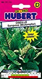 Graines d'Oseille Sanguine (Blutampfer) - 0,3 grammes