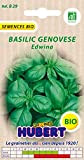 Graines de Basilic Genovese Edwina BIO - 1 gramme