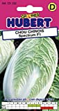 Graines de Chou Chinois Spectrum F1 - 0,5 grammes