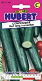 Graines de Concombre vert long maraîcher - 3 grammes