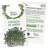 Graines de cresson de jardin (Lepidium sativum), semences de cresson de jardin cultivé OwnGrown, Semis pour environ 1500 plantes