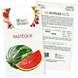 Graines de pastèque variété Crimson Sweet: Semences de pastèque pour environ 5 plants à semer - Kit graine potager de ...