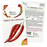 Graines de piment de Cayenne: 5 graines de piment de Cayenne pour des plants de piment frais à semer dans ...