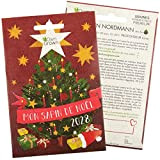 Graines de sapin Nordmann à planter: Mon arbre de Noël 2028 - Graines premium pour 5 sapins Nordmann - Graine ...