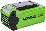 Greenworks Tools batterie G40B2 (batterie puissante rechargeable Li-Ion 40 V 2 Ah adaptée à tous les appareils de la série ...