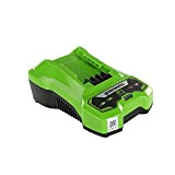 Greenworks Tools Chargeur de batterie G24C (Li-Ion 24 V sortie 48W convient à toutes les batteries de la série 24 ...