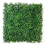 Haie artificielle avec feuilles de haute qualité, herbe artificielle pelouse plantes, panneaux - panneau 50 x 50 cm