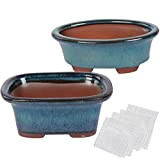 Happy Bonsai Lot de 2 petits pots émaillés + 4 écrans de drainage en maille souple