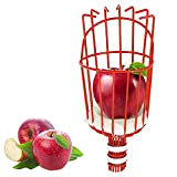 harupink Cueille Fruits métallique avec Griffe, Outil de cueillette de Fruits métal, Outils de Jardinage pour récolte de Pommes, Agrumes, ...