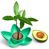 HENMI Avocado Plant Seed Sprout Bowl Avocado Tree Growth Kit Garden Gifts, Convient pour la Culture de Balcon intérieur / ...