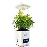 Herbaria Potager Interieur hydroponie Jardin Autonome - Pot Plante Intelligent avec lumière de Croissance LED Automatique et programmable, humidificateur et ...