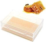 Honey Keeper Beehive,Récolte Abeille Boîte Abeille Miel Nid Apiculture Outil en Plastique Accessoires Matériel Apicole.