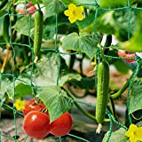HUTHIM Treillis Jardin Filet, Support Plante Grimpante Filet 2m x 5m, Convient pour Concombres, Tomates, Recolte Filet de Grimpantes Plantes. ...