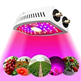 IROO LED Horticole, 1100W Lampe de Croissance des Plantes à Spectre Complet, COB Lampe de Culture avec Veg & Bloom ...