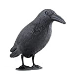 ISO TRADE Corbeau pour REPOUSSER Les Pigeons, Les ÉTOURNEAUX ET d'autres Oiseaux #783