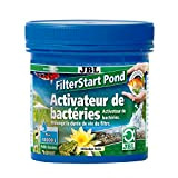 JBL FilterStart Pond 250g FR