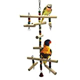 Jouet d’échelle en bois pour perroquet, perruche, inséparables, calopsitte, conure, pinson ou ara gris africain