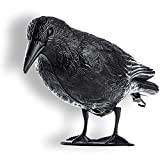 KADAX Corbeau Noir en Plastique, Solution Anti-Oiseaux, Répulsif, Effrayer Pigeons et Oiseau, Epouvantail Oiseaux, Repousse Oiseaux, Lutte Naturelle