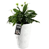 KADAX Pot de fleurs avec insert et poignées en plastique 5 tailles - Résistant aux UV - Résistant aux intempéries ...