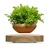 Kiko-ershaa Lévitation Pot Planteur Flottant Pot de lévitation Magnétique Pot de Fleurs de Suspension de bonsaï avec Base en Bois