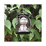 Kingfisher Petite mangeoire pour oiseaux en forme de lanterne + cadeau Fat ball