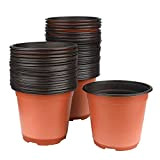 KINGLAKE 100 Pots de Plantes en Plastique Pots de semences de 15 cm Pots de semis Parfaits pour Le Jardinier