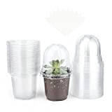 KINGLAKE 32 Pieces Pot semis Pot de Fleurs en Plastique Transparent avec Couvercle Transparent et 10 étiquettes de Plantes en ...