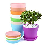 KINGLAKE 8 Pcs 10 cm Petite Pots de Plantes Colorées en Plastique Pots De Fleurs Plantes D'intérieur Pots pour Bureau ...