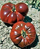 Kisshes Seedhouse - 100pcs Rare Tomate 'Beefsteak' graines plant fruitier jardin 300 à 600 g savoureuses
